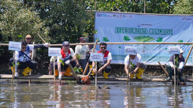 Lestarikan Ekosistem Pesisir, Pertamina Patra Niaga Sulawesi Gelar Penanaman Mangrove