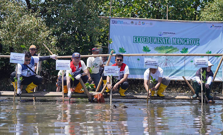 Lestarikan Ekosistem Pesisir, Pertamina Patra Niaga Sulawesi Gelar Penanaman Mangrove