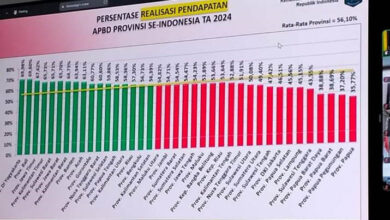 Realisasi Pendapatan APBD di Sultra Capai 43 Persen, Terendah Buton Tengah