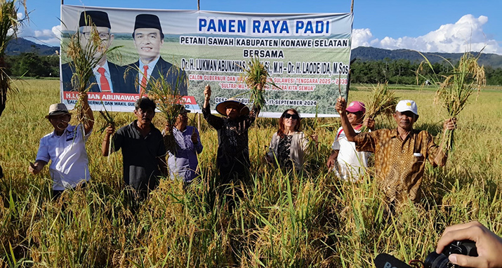 Ikut Panen Raya di Lainea Konsel, LA Janji Sejahterahkan Petani Sawah