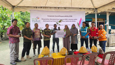 Lewat Program CSR, PLN Nusantara Power Perkuat Sektor Pertanian Kakao di Sabilambo