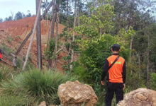 Pekerja Tambang PT RSB Konawe Utara Hilang di Hutan Kawasan Pertambangan