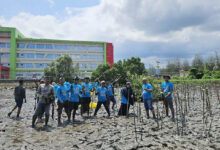 PLN NP Serahkan Bantuan CSR Penanaman Bibit Mangrove di Kabupaten Kolaka