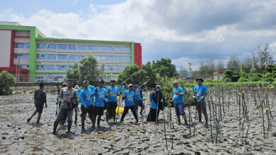 PLN NP Serahkan Bantuan CSR Penanaman Bibit Mangrove di Kabupaten Kolaka