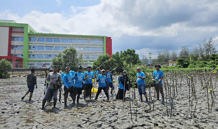 PLN NP Serahkan Bantuan CSR Penanaman Bibit Mangrove di Kabupaten Kolaka