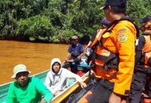 Seorang Warga di Lasolo Konawe Utara Tewas Diterkam Buaya