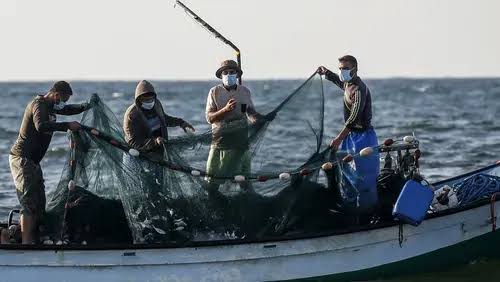 Pemprov Catat Hasil Tangkap Ikan di Sultra Capai 270 Ribu Ton