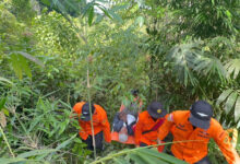 Basarnas Berhasil Evakuasi Warga Kendari yang Hilang di Kebun Nanga-Nanga