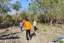 Lansia di Muna yang Hilang di Kebun Jambu Mete Belum Ditemukan, Tim SAR Hentikan Pencarian