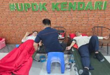 PLN NP UP Kendari dan PMI Gelar Donor Darah Peringati HLN ke-79 dan HUT PLN Nusantara Power ke-29