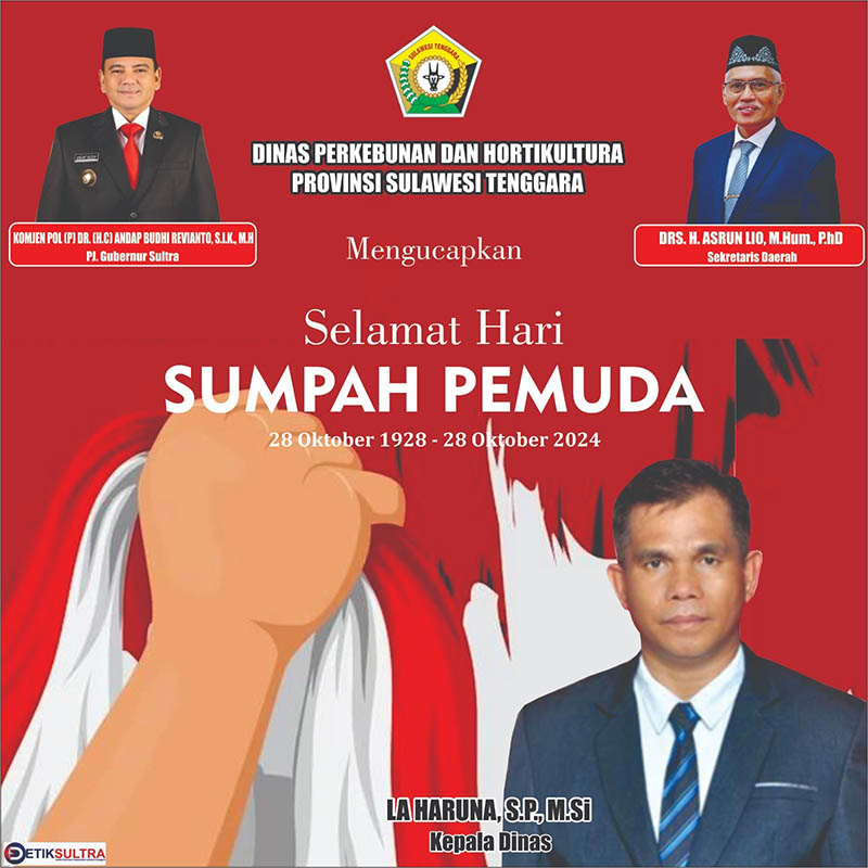 iklan detiksultra