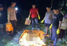 Kerangka Manusia Ditemukan di Kebun Milik Warga di Buton Tengah
