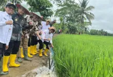 Tingkatkan Produktivitas Pertanian, Koltim Dapat Alokasi Pompanisasi 330 Unit