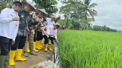 Tingkatkan Produktivitas Pertanian, Koltim Dapat Alokasi Pompanisasi 330 Unit