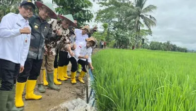 Tingkatkan Produktivitas Pertanian, Koltim Dapat Alokasi Pompanisasi 330 Unit