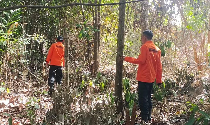 Sudah Tujuh Hari Hilang di Perkebunan Sawit, Lansia Asal Langgikima Konawe Utara Belum Ditemukan