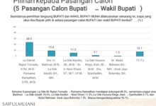 Survei Terbaru SMRC untuk Pilkada Muna, Elektabilitas Rajiun-Purnama Tertinggi Dibanding Calon Lain