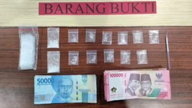 Miliki Sabu-Sabu, Ibu Rumah Tangga di Kolaka Diamankan Sat Natkoba Polres Kolaka