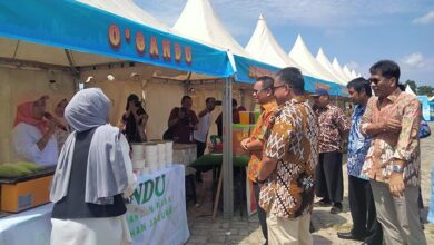 Kemenkeu dan FEB UHO Gelar Ekspo UMKM 2024