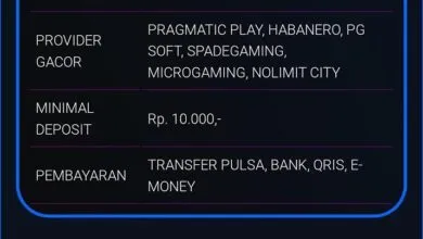 Diserang Hacker, Website Resmi Pemkot Kendari Berubah Jadi Situs Judi Online