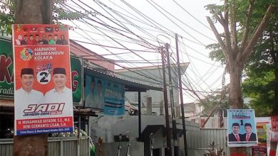 Ganggu Keindahan, Pol PP Kolaka bakal Tertibkan APK yang Terpasang Pohon