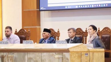 Perusahaan Asing Asal Rusia Bakal Investasi Pembangkit Listrik Tenaga Nuklir di Sultra