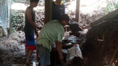 Longsor di Kolaka, Dua Rumah Tertimpa Tanah