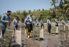 Pertamina Patra Niaga Sulawesi Gelar Aksi Bersih Pantai dan Tanam Mangrove di Desa Tongo Gorontalo
