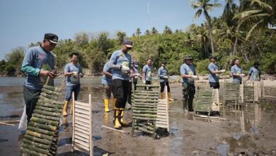 Pertamina Patra Niaga Sulawesi Gelar Aksi Bersih Pantai dan Tanam Mangrove di Desa Tongo Gorontalo