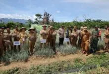 Pemkab Konut Alokasikan Rp19 Miliar Guna Tingkatkan Produksi Petani di Sektor Pertanian