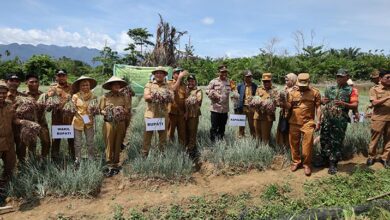 Pemkab Konut Alokasikan Rp19 Miliar Guna Tingkatkan Produksi Petani di Sektor Pertanian