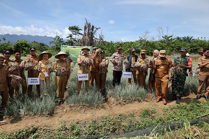 Pemkab Konut Alokasikan Rp19 Miliar Guna Tingkatkan Produksi Petani di Sektor Pertanian