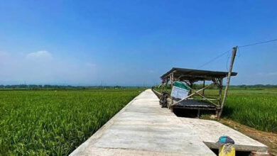 10.775 Meter Pembangunan Jalan Usaha Tani di Sultra telah Rampung