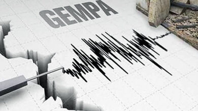 47 Gempa Bumi Susulan Terjadi di Kolaka Timur, BMKG Sebut Tak Berpotensi Tsunami