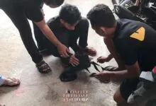 Polresta Kendari Amankan Seorang Pemuda karena Kedapatan Membawa Sabu