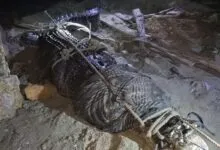 Warga Muna Tangkap Buaya Sepanjang Lima Meter yang Kerap Menyerang Warga