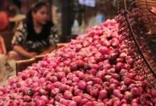 Ketersediaan Bawang Merah di Sultra Alami Defisit -451 Ton