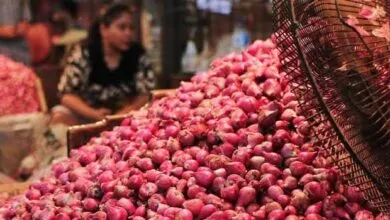 Ketersediaan Bawang Merah di Sultra Alami Defisit -451 Ton