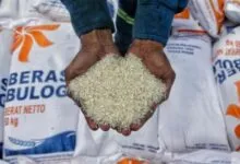 Stok Beras di Gudang Bulog Raha Dipastikan Aman hingga Tiga Bulan ke Depan