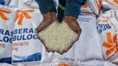 Stok Beras di Gudang Bulog Raha Dipastikan Aman hingga Tiga Bulan ke Depan