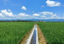 12.001 Unit Irigasi Tersier Sultra Diusulkan Perbaikan di Tahun 2025