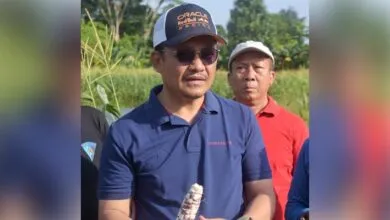 Pj Wali Kota Kendari, Parinringi saat hadiri kegiatan panen raya belum lama ini. Foto: istimewa