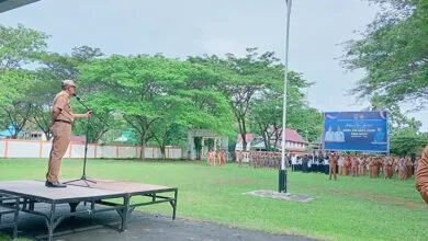 Penjemputan Bupati Muna Barat, La Ode Darwin-Alibasa Dijadwalkan 5 Maret