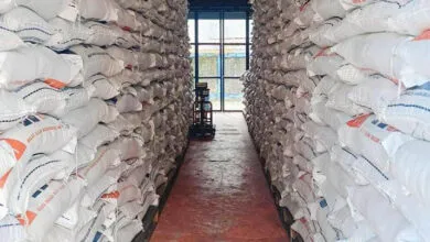 Miliki Stok Beras 3000 Ton, Bulog Raha Pastikan Stok Pangan Aman Jelang Ramadan