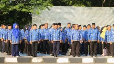 Ilustrasi ASN pns