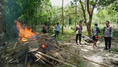 Meresahkan, Polisi Bakar Arena Judi Sabung Ayam di Tiga Desa di Muna Barat