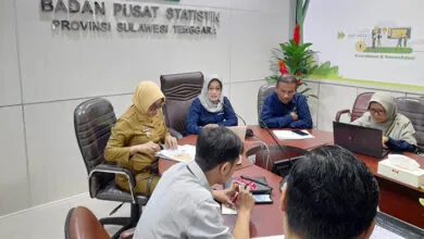 Sultra Alami Deflasi 1,45 Persen, Diskon Tarif Listrik Jadi Penyumbang Terbesar