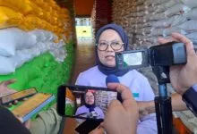 Kenaikan Harga Beras Pengaruhi Daya Serap Gabah Petani