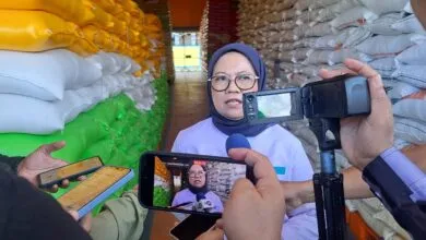 Kenaikan Harga Beras Pengaruhi Daya Serap Gabah Petani