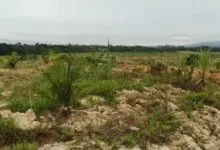 IKMA Angata Jakarta Sebut Keberadaan PT MS Meningkatkan Perekonomian di Kecamatan Angata